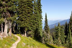 Het wandelpad aan het begin van de wandeling naar Eva en Miller Lake bij Revelstoke