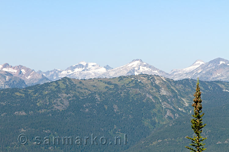 Het uitzicht over de Rocky Mountains bij Mount Revelstoke National Park bij Revelstoke