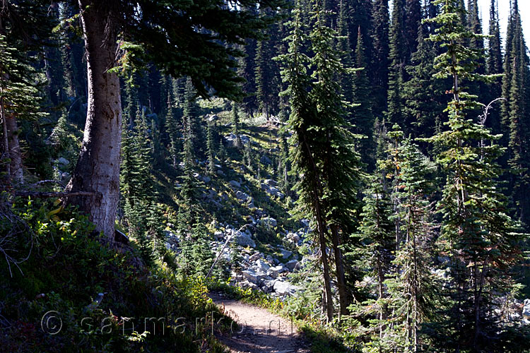 Het wandelpad naar Eva Lake in Mount Revelstoke National Park in Canada