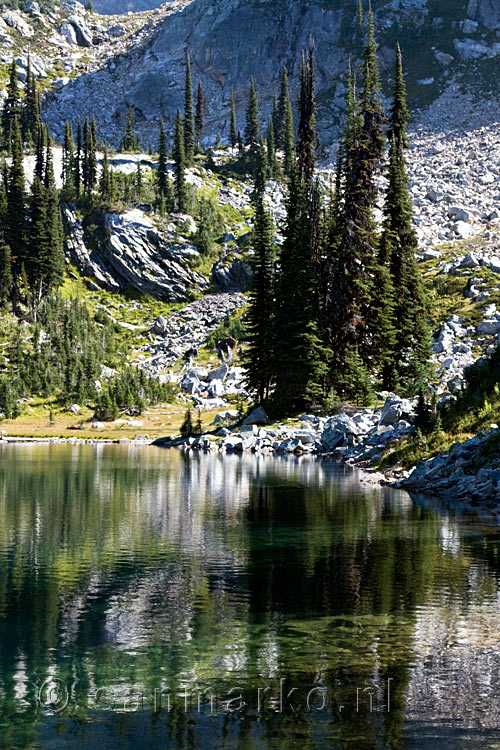 De prachtige natuur rondom Eva Lake in Mount Revelstoke NP bij Revelstoke in BC