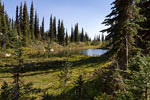 Een klein meer aan het begin van het wandelpad naar Eva en Miller Lake in Mount Revelstoke NP