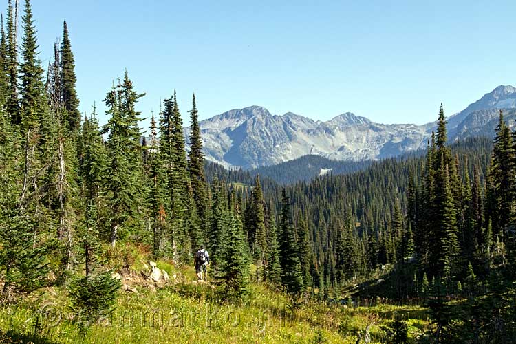 Het uitzicht vanaf het wandelpad op Mount Revelstoke National Park