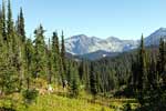 Het uitzicht vanaf het wandelpad op Mount Revelstoke National Park