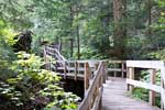 Het wandelpad door de Giant Cedars in Mount Revelstoke NP in Canada