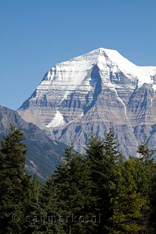 Helder blauwe lucht en een witte Mount Robson, beter kunnen we het niet hebben
