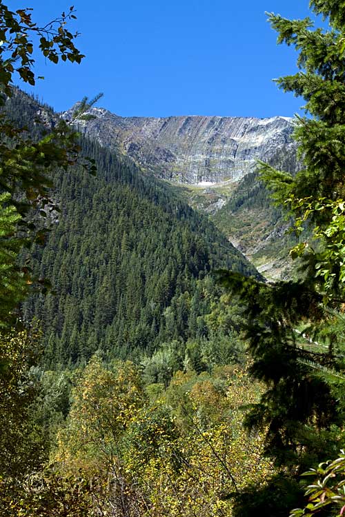 Tussen de bomen door een mooi uitzicht over Mount Robson Provincial Park