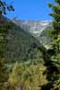 Tussen de bomen door een mooi uitzicht over Mount Robson Provincial Park