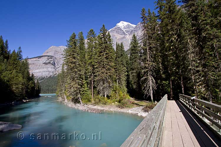 We steken de brug over en zijn bij Kinney Lake in Mount Robson Prov. Park