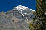 Vanaf Kinney Lake een mooi uitzicht op Mount Robson