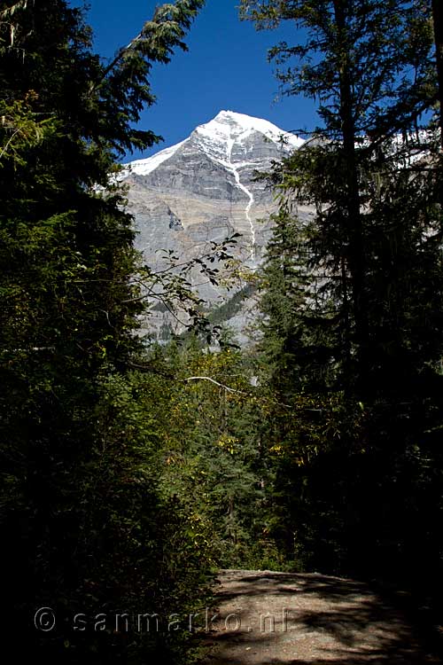 Vanaf het wandelpad een mooi uitzicht over Mount Robson