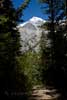 Vanaf het wandelpad een mooi uitzicht over Mount Robson