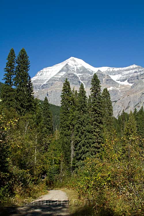 Vanaf het wandelpad nog een mooi uitzicht op Mount Robson