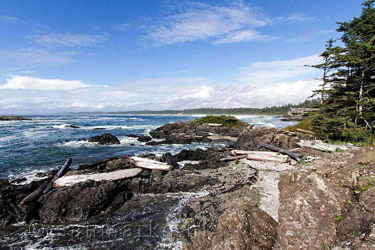 Het uitzicht vanaf South Beach op de kust van Pacific Rim National Park