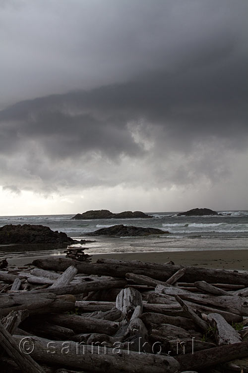 Aangespoelde boomstammen op het strand bij Schooner Cove in Pacific Rim NP