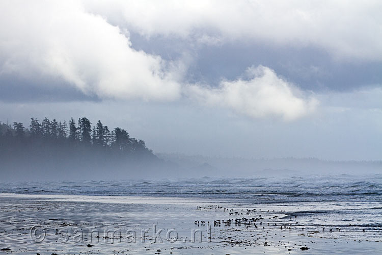 Spookachtige mist langs de kust van het Pacific Rim National Park in Canada