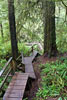 Wandelen over trappen naar de Schooner Cove in Pacific Rim NP op Vancouver Island