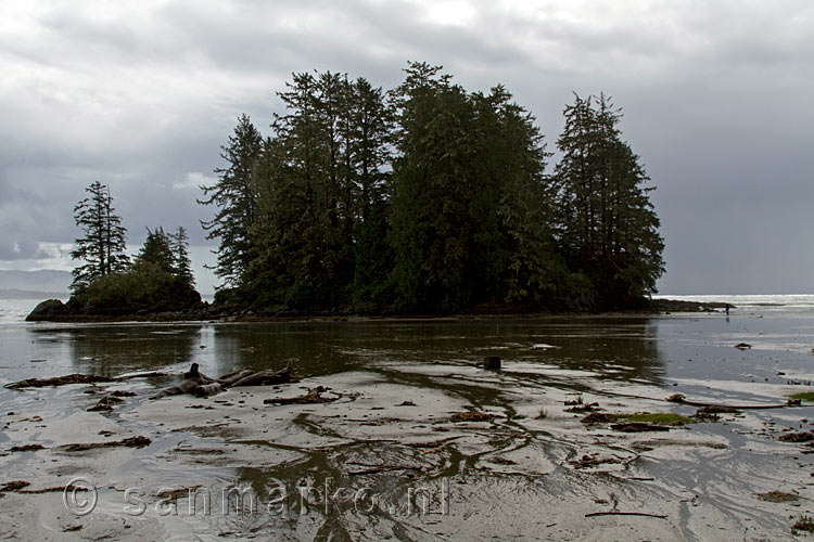 Het eiland voor het strand van Schooner Cove in Pacific Rim NP