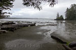 Uitzicht over Pacific Rim National Park vanaf het strand bij Schooner Cove