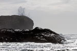 De woeste zee met hoge golven voor de kust bij South Beach in Pacific Rim NP