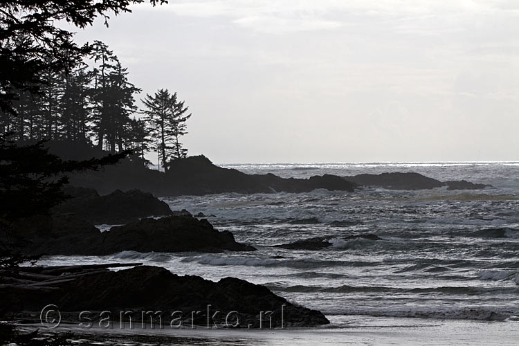 De grillige kust van de Pacific Rim NP op Vancouver Island in Canada