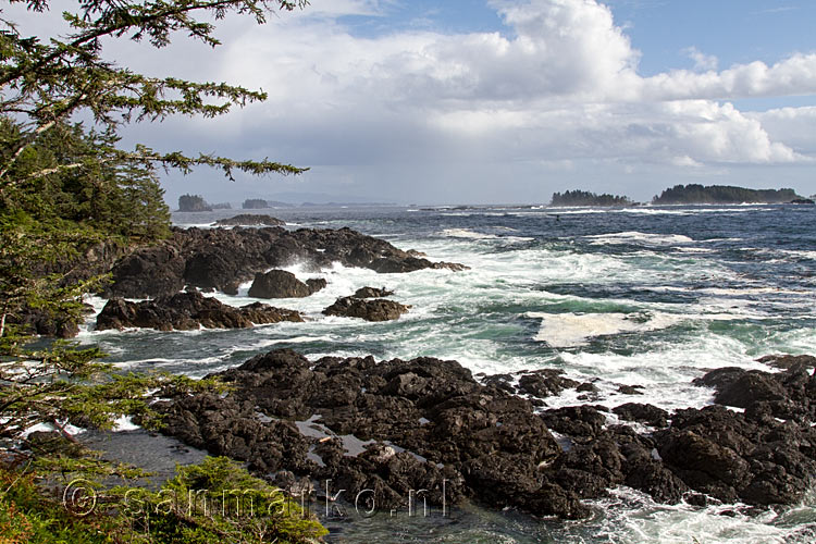 De ruige kust bij Ucluelet vanaf de Wild Pacific Trail op Vancouver Island