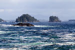 Een mooi uitzicht vanaf de Wild Pacific Trail bij Ucluelet in Canada