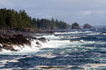 De ruige kust gezien vanaf het Wild Pacific Trail bij Ucluelet