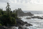 Het laatste mooie uitzicht vanaf de Wild Pacific Trail bij Ucluelet