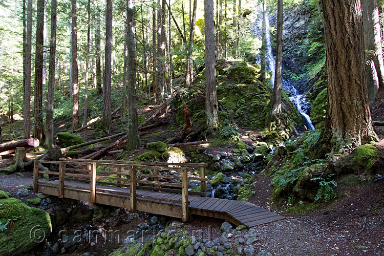 Een brug over de stroom vanaf de Lupin Falls in Strathcona Provincial Park