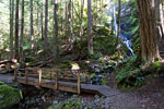 Een brug over de stroom vanaf de Lupin Falls in Strathcona Provincial Park