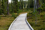 Het wandelpad over de Paradise Meadows in Strathcona Provincial Park op Vancouver Isand