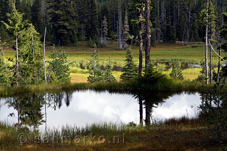Schitterende weerspiegeling in de meren in de Paradise Meadows in Strathcona