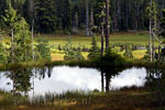 Schitterende weerspiegeling in de meren in de Paradise Meadows in Strathcona