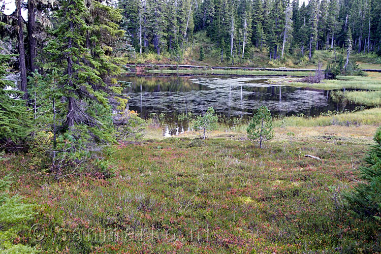 Een schitterend uitzicht vanaf het wandelpad door de Paradise Meadows