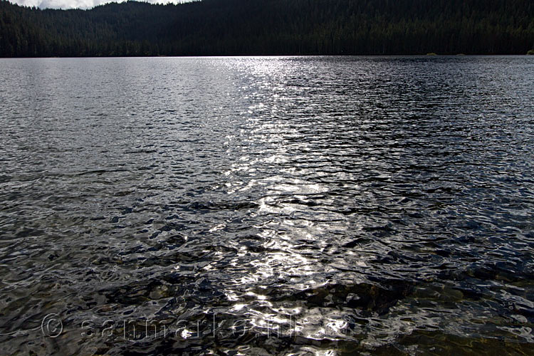 Schittering van de zon op Lake Helen Mackenzie aan het Paradise Meadows Trail