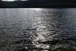 Schittering van de zon op Lake Helen Mackenzie aan het Paradise Meadows Trail
