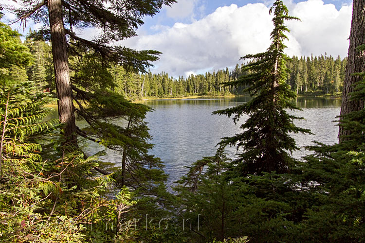 Het uitzicht op Battleship Lake in de Paradise Meadows in Strathcona Prov. Park