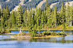 Een klein eiland in Battleship Lake in de Paradise Meadows in Strathcona Prov. Park