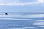 Vissersboten varen tussen de Sunshine Coast en Vancouver Island