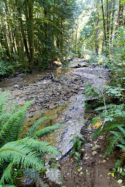 De Porpoise Bay aan het begin van de wandeling bij Sechelt