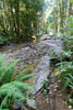 De Porpoise Bay aan het begin van de wandeling bij Sechelt