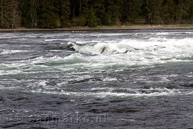 Golven door hoogtij in de Skookumchuck Narrows in de Sechelt Inlet