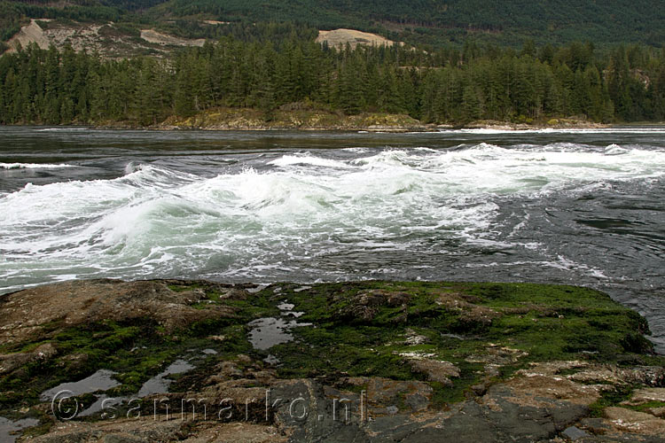 Vanaf het uitzichtpunt de Sechelt Inlet bij de Skookumchuck Narrows