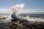 Grote golven voor de kust bij Botanical Beach op Vancouver Island