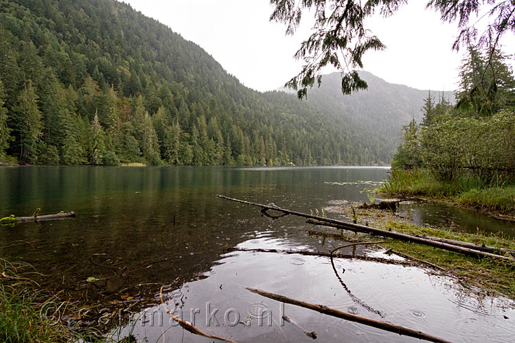 Een leuk uitzicht op het meer tijdens de Cathedral Grove wandeling