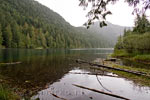 Een leuk uitzicht op het meer tijdens de Cathedral Grove wandeling