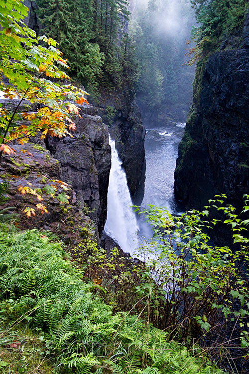 De Elk Falls in Elk Falls Provincial Park bij Campbell River