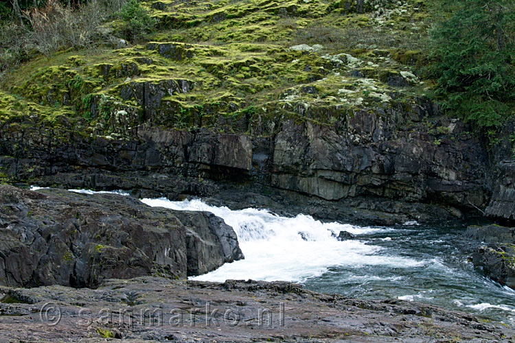 Een kleine stroomversnelling langs het wandelpad in de Elk River