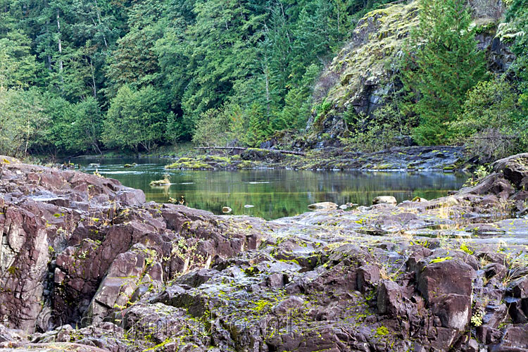 Vanaf het wandelpad een mooi uitzicht op de Elk River bij Campbell River