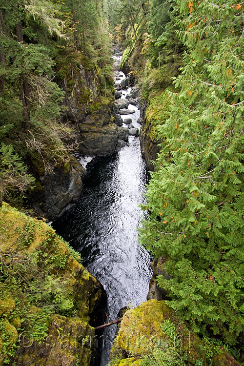 De vallei van de Englishman River bij Parkville op Vancouver Island